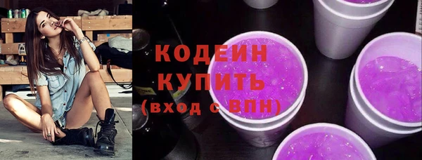 сатива Бородино