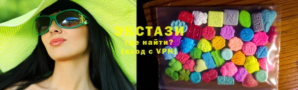 сатива Бородино