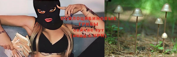 сатива Бородино