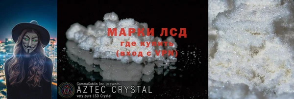 сатива Бородино