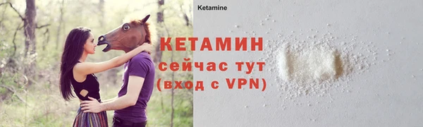 сатива Бородино
