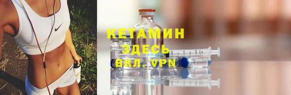 сатива Бородино