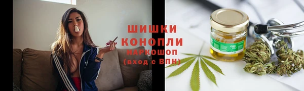 сатива Бородино