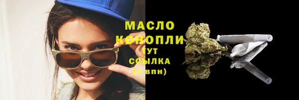 сатива Бородино