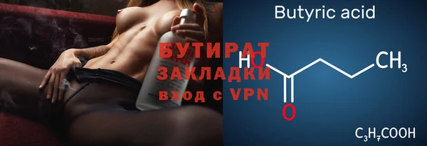 сатива Бородино
