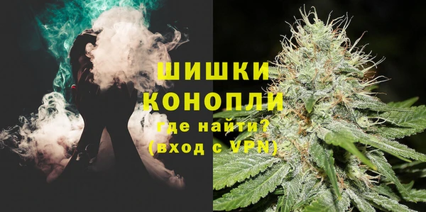 сатива Бородино