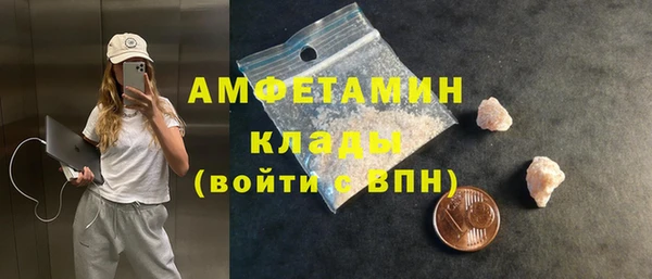 сатива Бородино