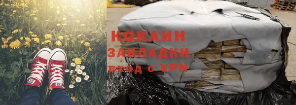 сатива Бородино