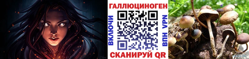 Псилоцибиновые грибы ЛСД  hydra ONION  Курск  закладка 